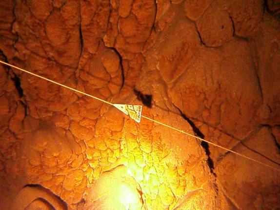 Indicação a seguir durante mergulho no Abismo de Anhumas, em Bonito, no Mato Grosso do Sul